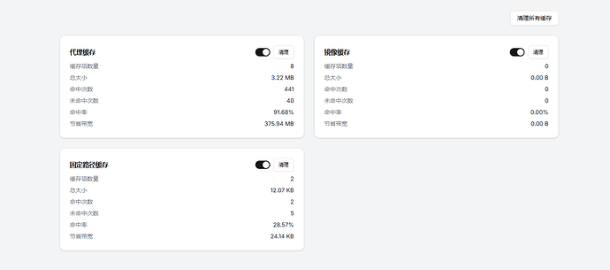 这是一张显示缓存统计信息的界面，包括代 理缓存、固定路径缓存和镜像缓存的详细数据。 (由 AI 生成标题)