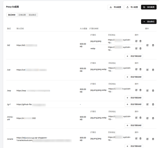 这是一张显示Proxy Go配置界面的截图，其中列出了多个代理路径及其对应的目标地址、文件大小、扩展名和操作选项。 (由 AI 生成标题)